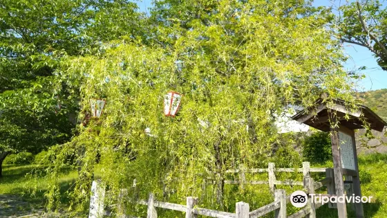 Ganryu Yukari no Yanagi