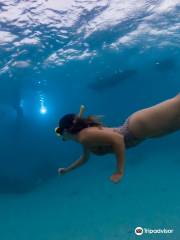 Snorkeling Puerto Rico | Boat Tours