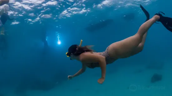 Snorkeling Puerto Rico