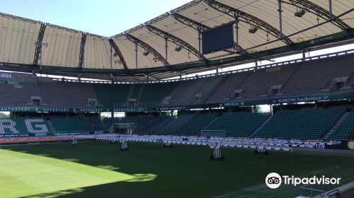 VfL-FußballWelt