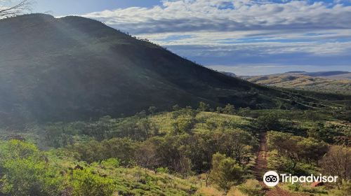 Mount Bruce