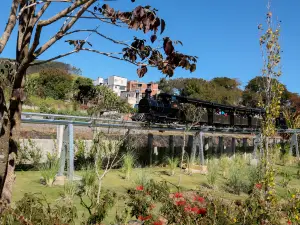 Devotee’s Train