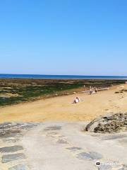 Plage de Sauveterre