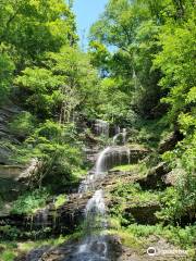 Cathedral Falls