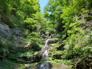 Cathedral Falls