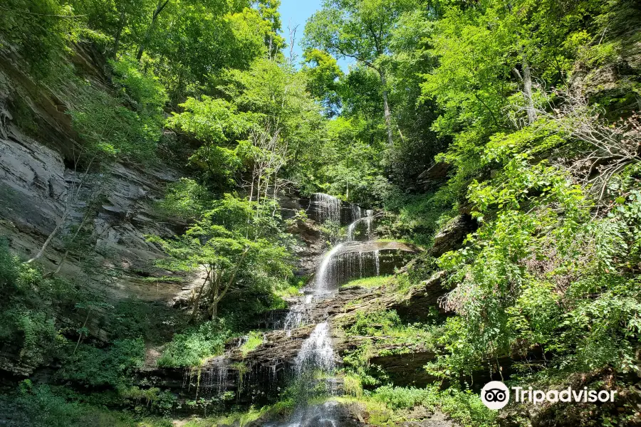 Cathedral Falls