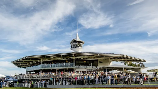 Scone Race Club