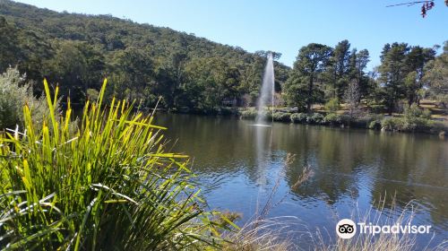 Lake Alexandra Reserve