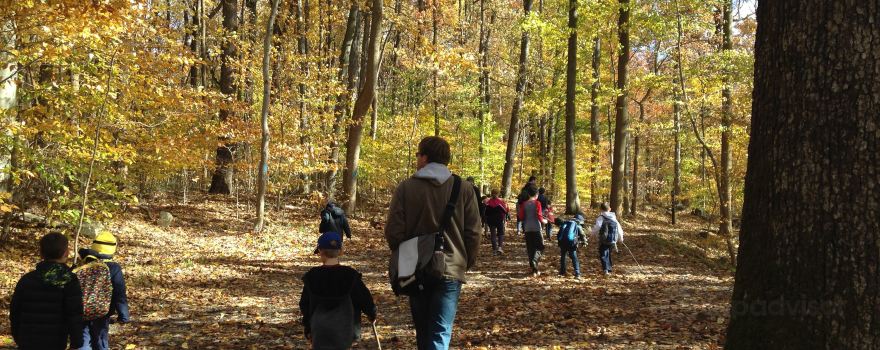 Hibernia County Park