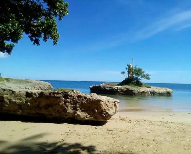 Aringay