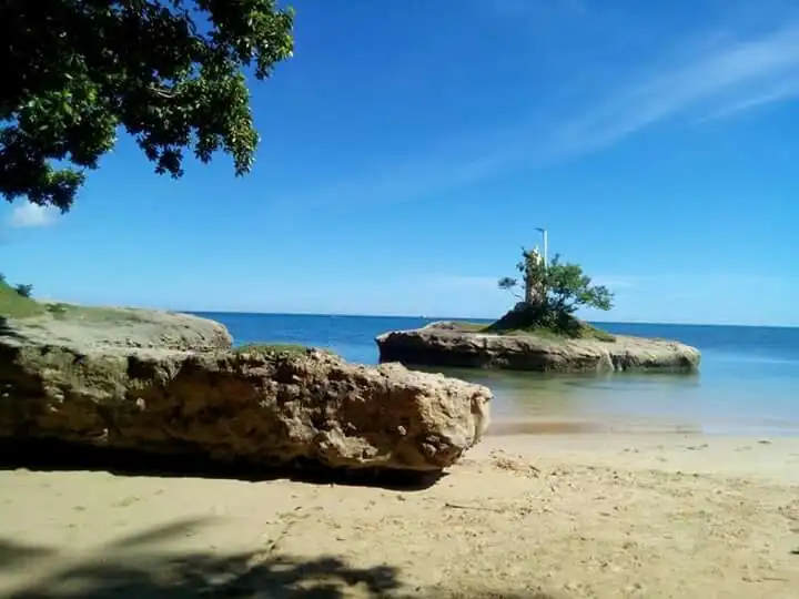 Aringay