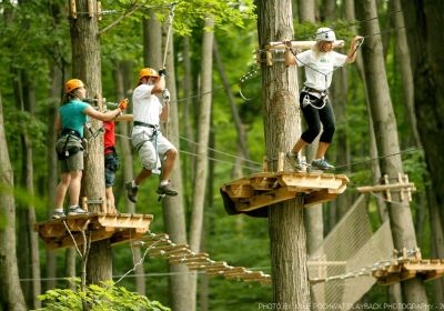 Treetop Trekking-Barrie