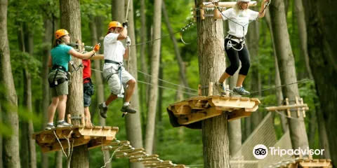 Treetop Trekking