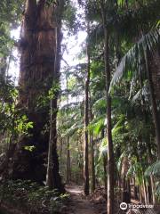 The Palms National Park