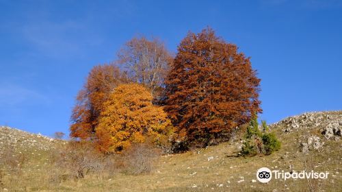 Parco Monti Simbruini