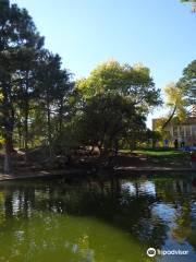 Duck Pond at UNM