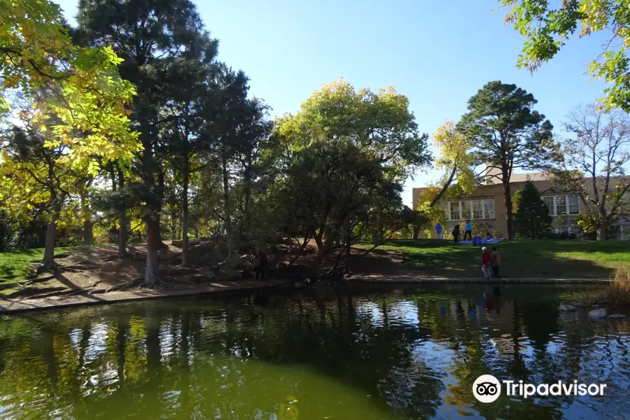 Duck Pond at UNM