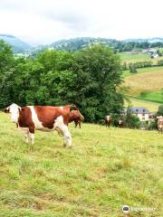 Ferme Claria Famille BERDUCOU