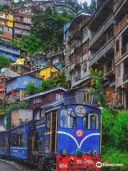 Darjeeling Toy Train