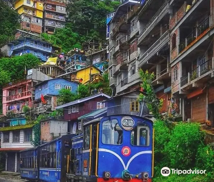 Darjeeling Toy Train