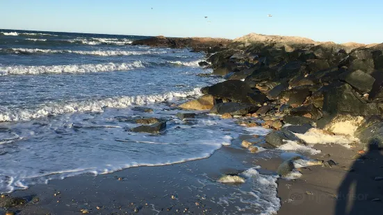 Brant Rock Beach