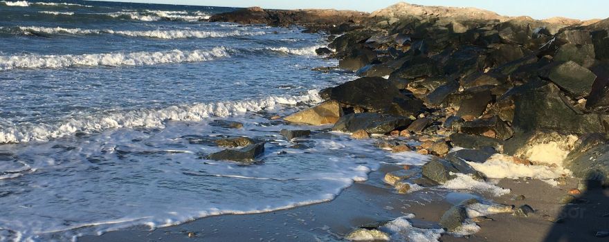 Brant Rock Beach