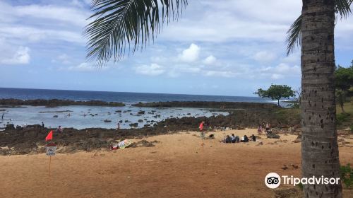 Waialua Bay