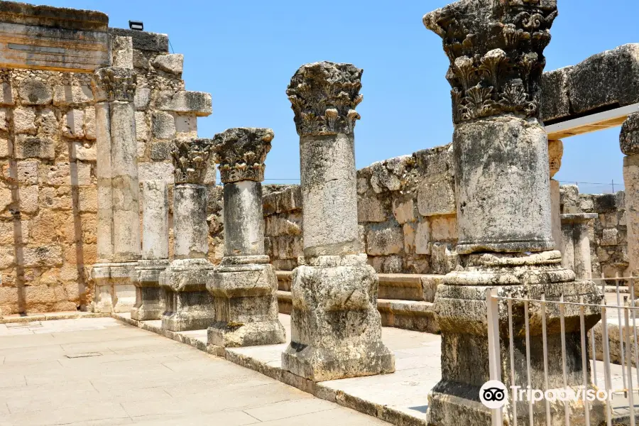 Capharnaum - The Town Of Jesus