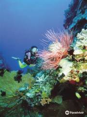 Whitsunday Dive Centre