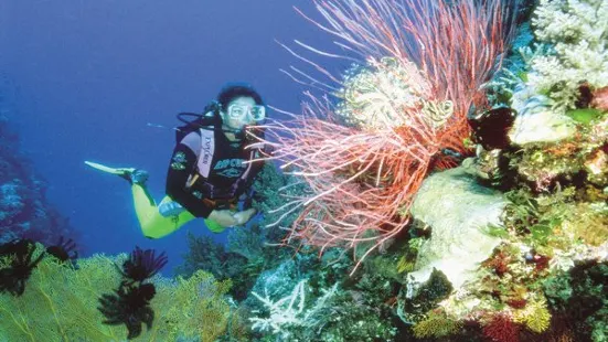 Whitsunday Dive Centre