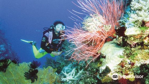 Whitsunday Dive Centre