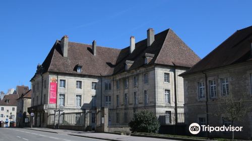 Musee des Beaux-Arts de Dole