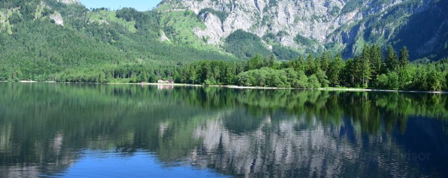 Offensee