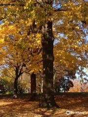 Humboldt Park