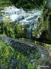 Madeira Explorers - Levada and Leisure Walks