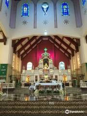 Our Lady Of Peñafrancia