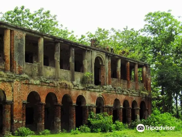 Bibhutibhushan Wildlife Sanctuary