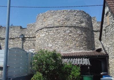 Fleckenmauer Floersheim-Dalsheim