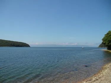 Partizansk