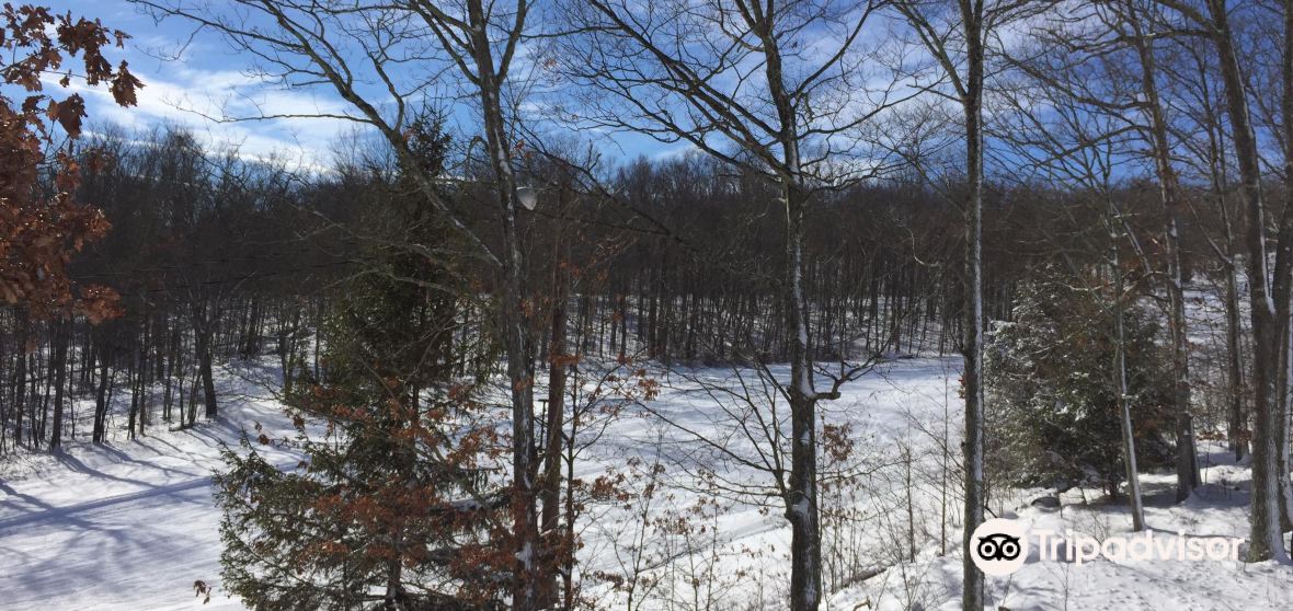 Stroud Township Travel Guide 2023 Things to Do, What To Eat & Tips