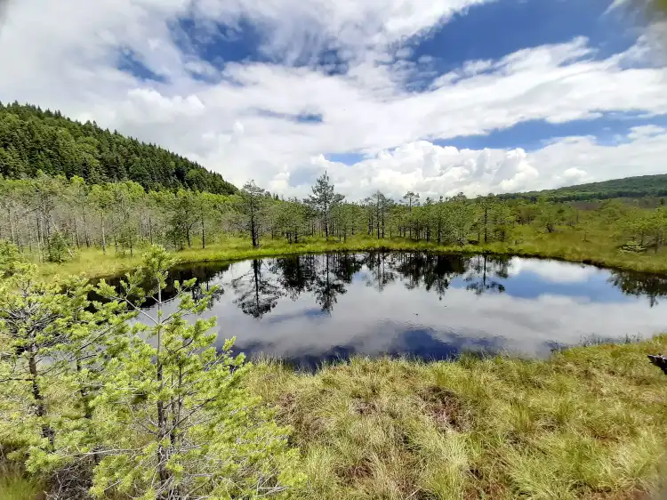 Hotels in Baile Tusnad