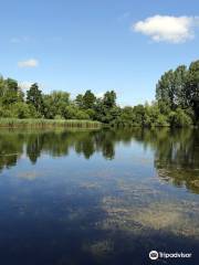 Langford Lakes Nature Reserve, Wiltshire Wildlife Trust