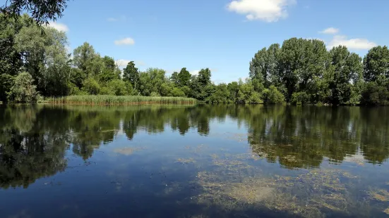 Langford Lakes Nature Reserve