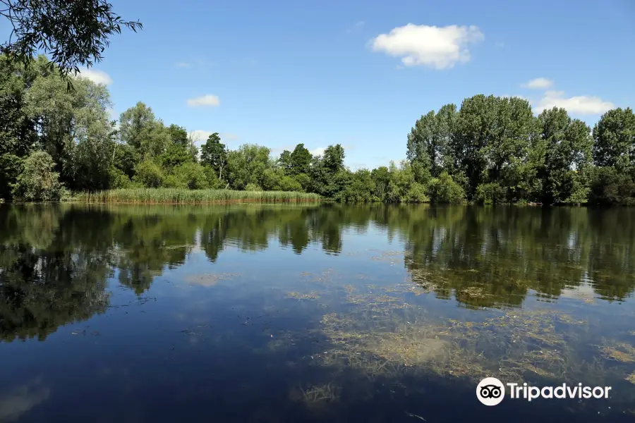 Langford Lakes Nature Reserve, Wiltshire Wildlife Trust