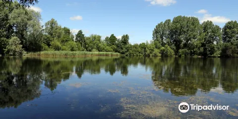 Langford Lakes Nature Reserve