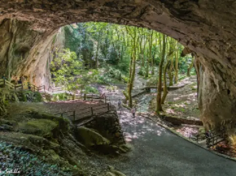 Cuevas de Zugarramurdi