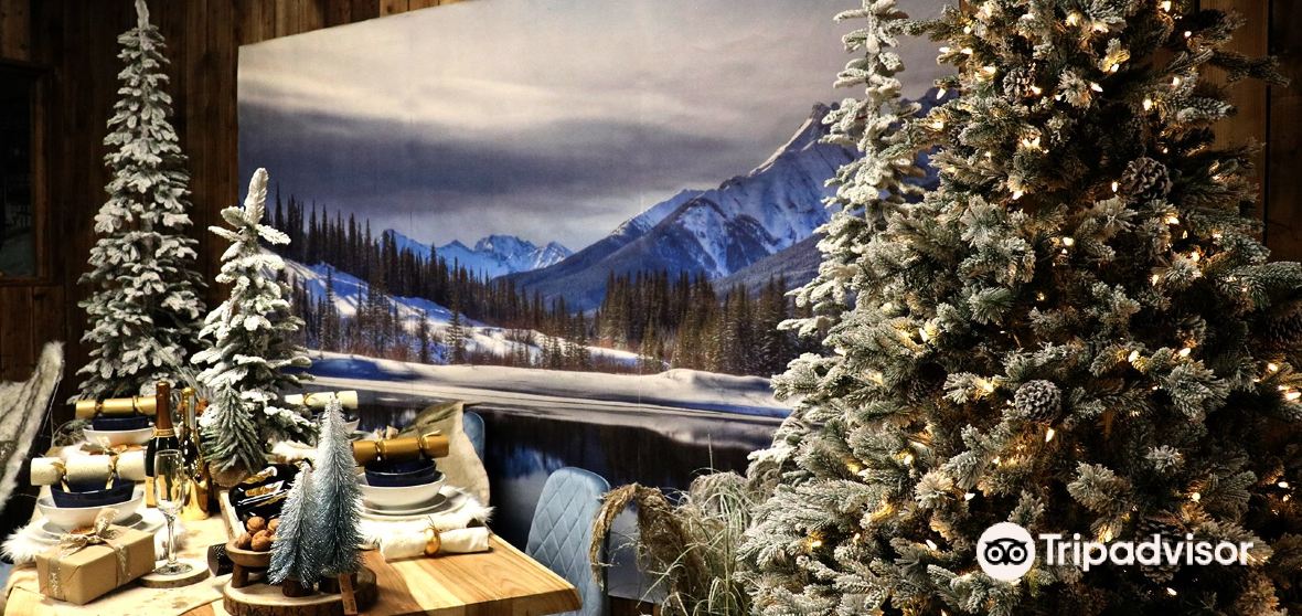 クリスマスツリー グリーン 雪 ケンブリッジ クリスマスツリー グリーン 雪 ケンブリッジ クリスマスツリー