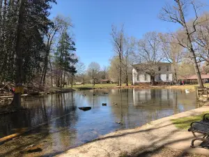 Cave Spring