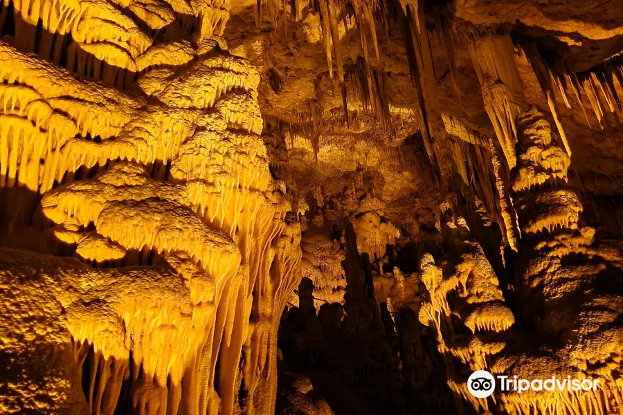 Stalactite Cave Nature Reserve