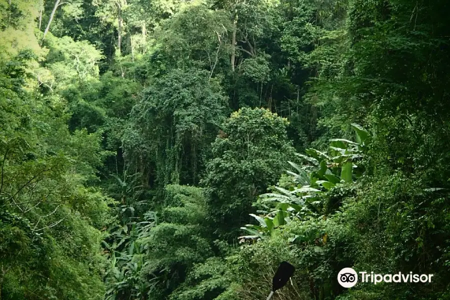 Discovering Laos